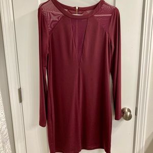 Burgundy Mesh Plunging Express Dress